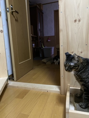 it\'s a magic_a0216583_23480552.jpeg