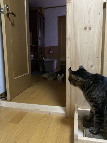 it\'s a magic_a0216583_23480960.jpeg