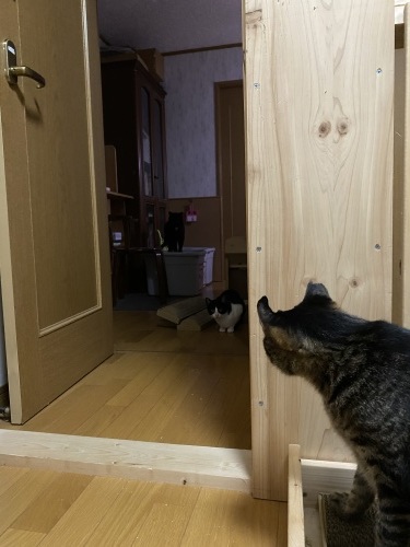 it\'s a magic_a0216583_23481417.jpeg