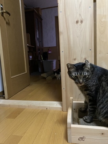 it\'s a magic_a0216583_23481859.jpeg