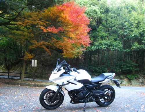 XJ6と紅葉_b0170184_20023009.jpg