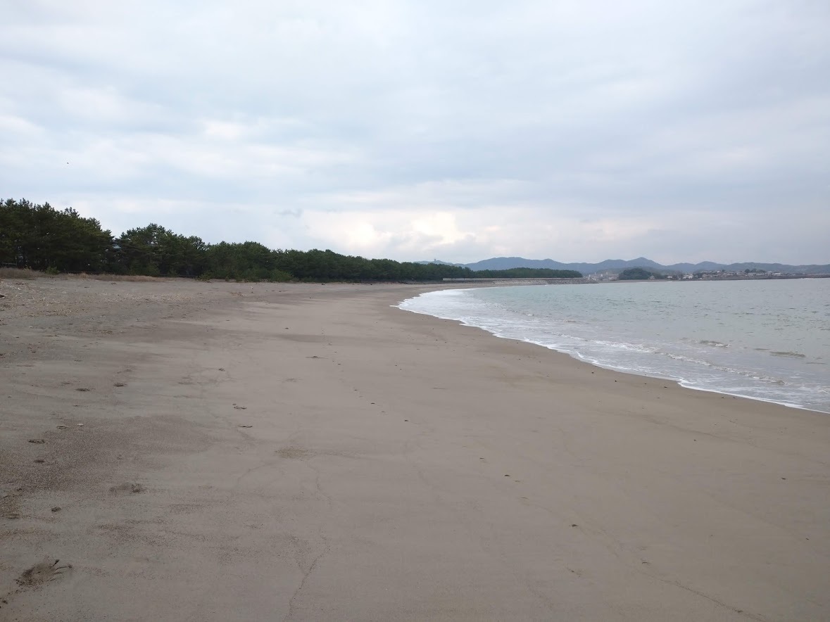 11月も後半だな_f0197985_19342562.jpg