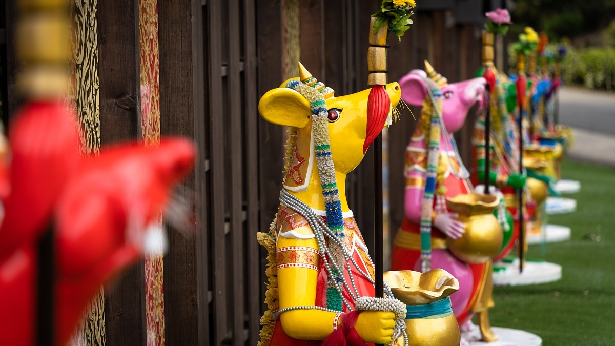 色彩豊かな鼠と象が待つ寺院_d0353489_23395702.jpg