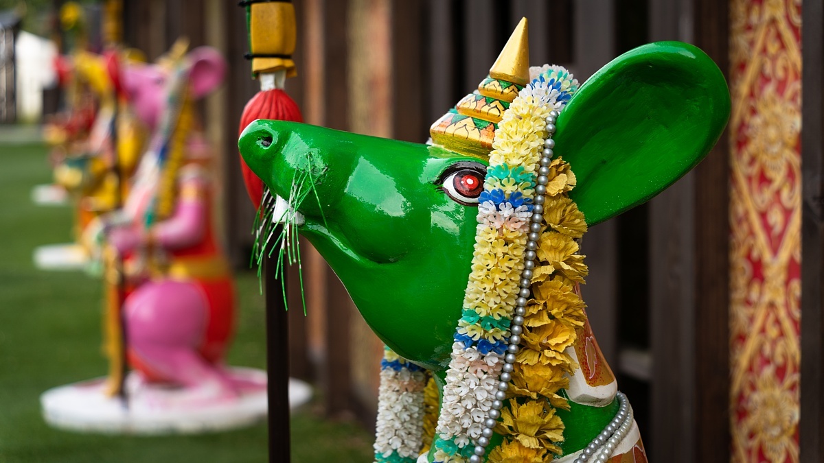色彩豊かな鼠と象が待つ寺院_d0353489_23404732.jpg