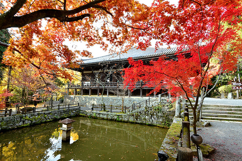 播州清水寺 紅葉 続 ちょっとそこまで