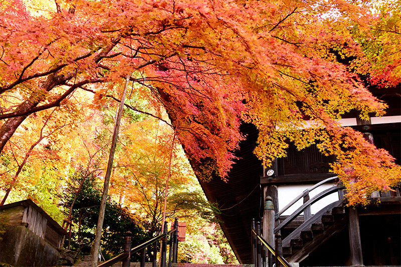 播州清水寺 紅葉 続 ちょっとそこまで