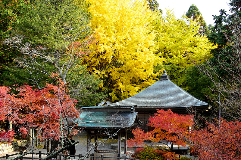 播州清水寺 紅葉 続 ちょっとそこまで