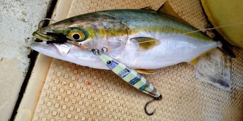 １００均でゼブラ グロー のジグにカスタムしたよ 明石の釣り ブログ 明石の釣り ブログ