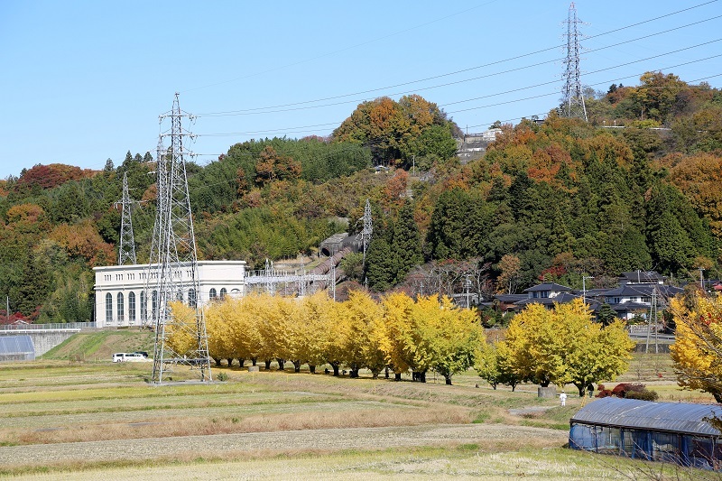 偉大なる資産_f0076731_20225019.jpg