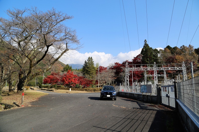 偉大なる資産_f0076731_20290927.jpg