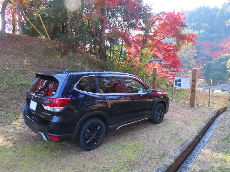 偉大なる資産_f0076731_21143745.jpg