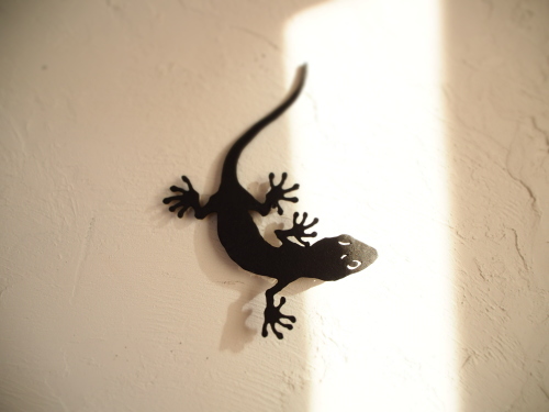 noie Gecko 2020_c0148232_16181707.jpg