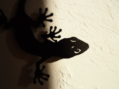 noie Gecko 2020_c0148232_16183498.jpg