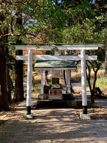 箱根九頭龍神社参拝_e0243332_15522536.jpeg