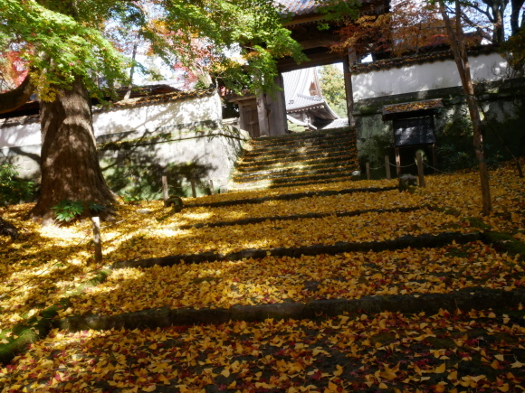 普現寺 白馬渓 大分県臼杵市 の紅葉 臼杵摩崖仏見学 山に癒されて 普現寺 白馬渓 大分県臼杵市 の紅葉 臼杵摩崖仏見学 山に癒されて