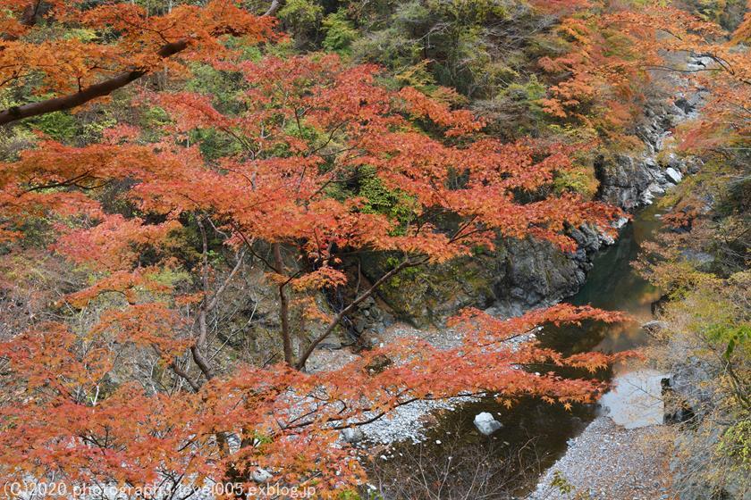 秩父 大血川渓谷 金蔵落しの渓流 紅葉 3 Photograph3 秩父 大血川渓谷 金蔵落しの渓流 紅葉 3 Photograph3