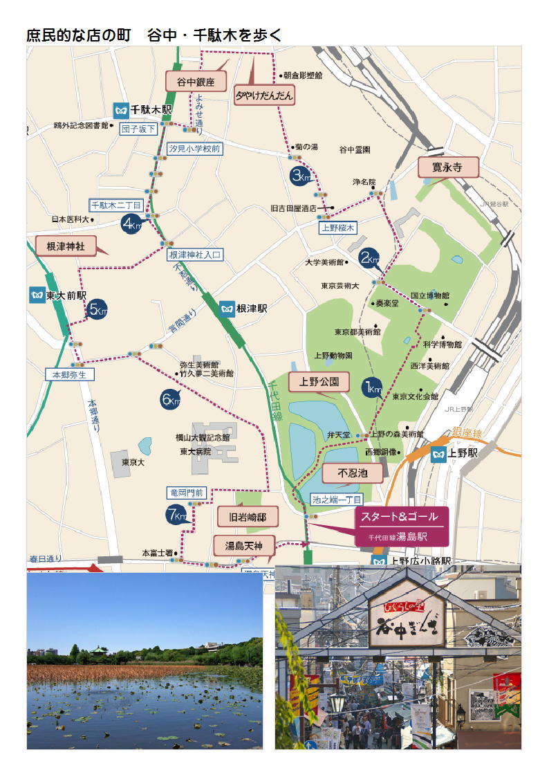 歴史的建造物でランチ｢はん亭｣   第12回 下町文化から建築を確認・東大も谷根千・東大(日暮里～本郷)を散策する旅   カルチャーセンター｢建築散策と東京散策｣④_f0388041_09081025.jpg