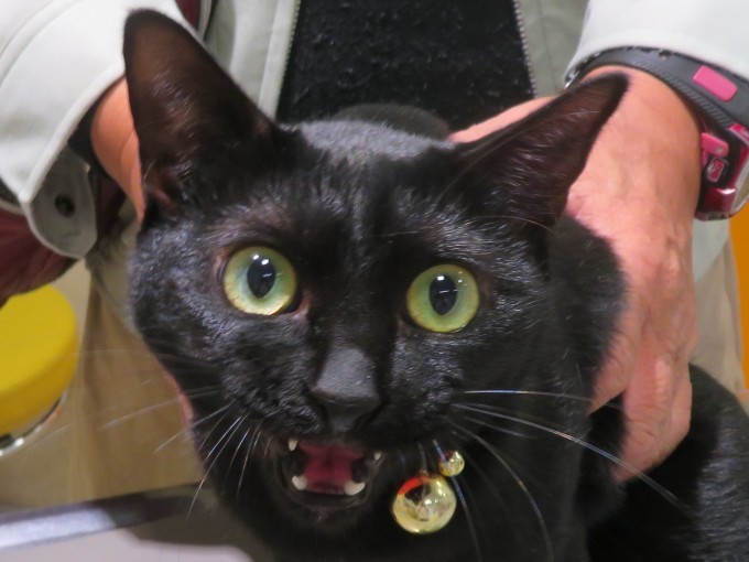 11 月 19 日の写真_c0174644_12191788.jpg