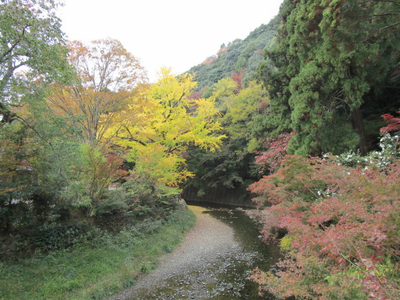大伴家持は「萩」を詠むとき、父の旅人を偲んでいた_a0237545_09020705.jpg