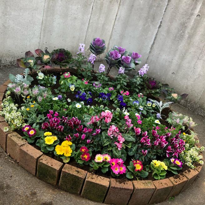 お花畑を作るお仕事 ๑ ᗜ ๑ 目黒区 都立大の 花屋 Moco 花と 植物で楽しい毎日 一人で全力で営業中