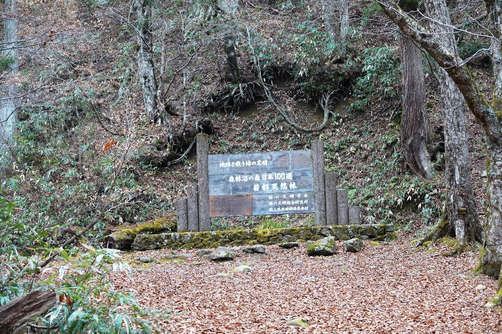 県北の山 三国平_b0227552_22245321.jpg