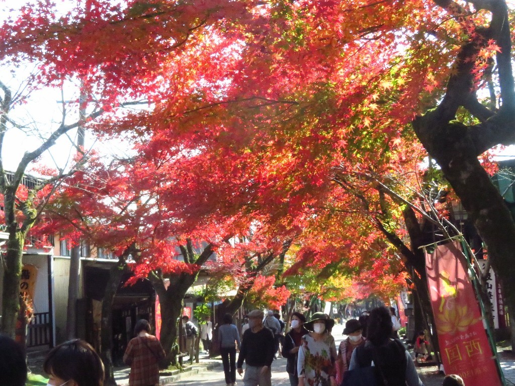 谷汲山華厳寺_a0018655_09274665.jpg