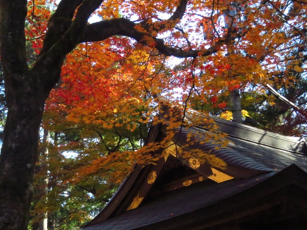 谷汲山華厳寺_a0018655_09274793.jpg