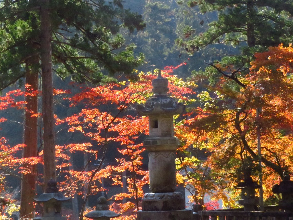 谷汲山華厳寺_a0018655_09284763.jpg