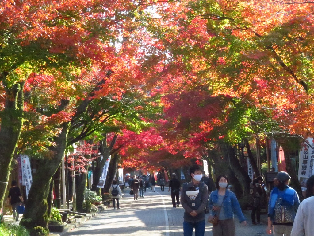 谷汲山華厳寺_a0018655_09290613.jpg
