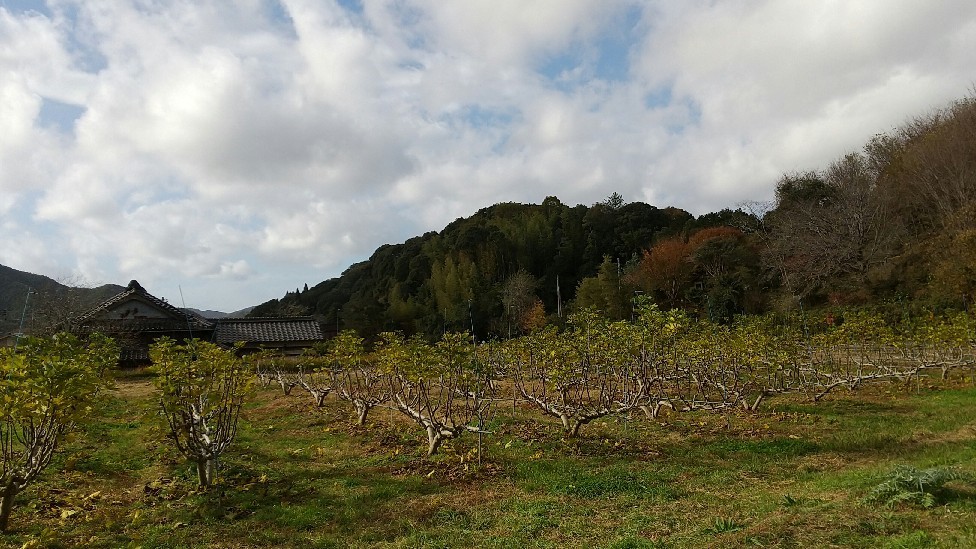 落ち葉_b0339572_09481619.jpg