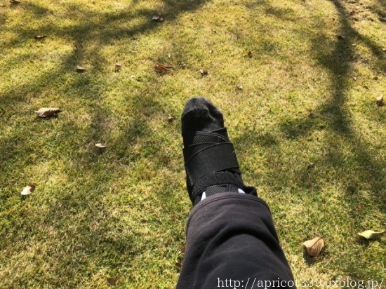 右足の剥離骨折、痛みと腫れに悩む日々_c0293787_13532441.jpg