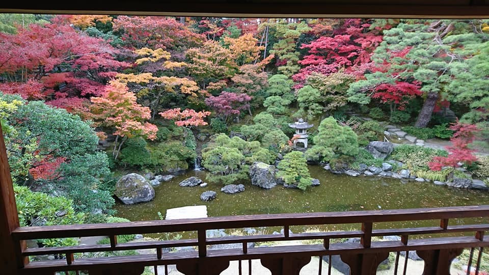 石丸由佳さんのチラシ発見。_e0046190_18233265.jpg