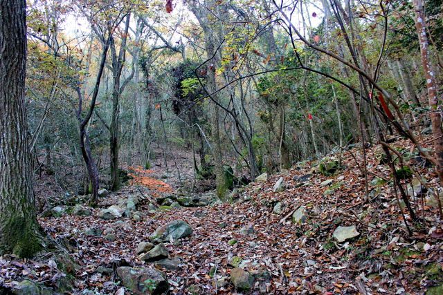 熊山登山 舟下山コースを登る!の巻_f0325295_17121489.jpg