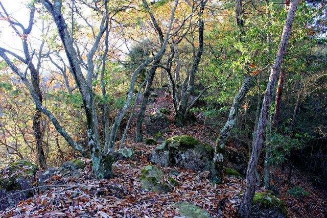 熊山登山 舟下山コースを登る!の巻_f0325295_17122136.jpg