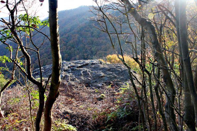 熊山登山 舟下山コースを登る!の巻_f0325295_17314498.jpg