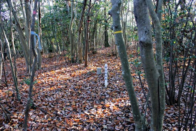 熊山登山 舟下山コースを登る!の巻_f0325295_17460018.jpg