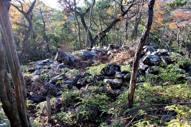 熊山登山 舟下山コースを登る!の巻_f0325295_17484547.jpg