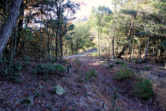 熊山登山 舟下山コースを登る!の巻_f0325295_17561651.jpg