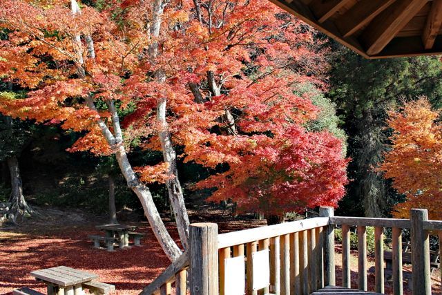 熊山登山 舟下山コースを登る!の巻_f0325295_18032402.jpg