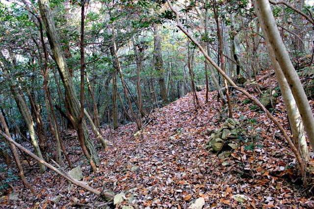 熊山登山 舟下山コースを登る!の巻_f0325295_18184352.jpg