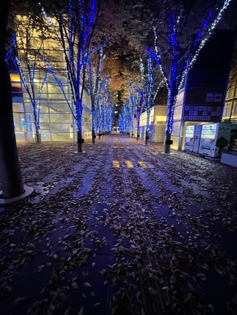 木蘭の涙_a0009196_23485381.jpg