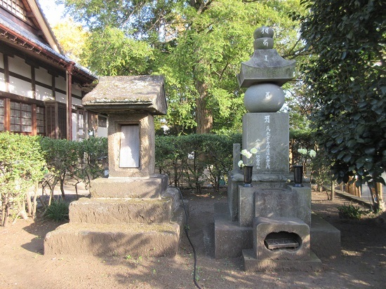 金沢文庫 薬王寺(2020.11.16)_e0245404_13355595.jpg