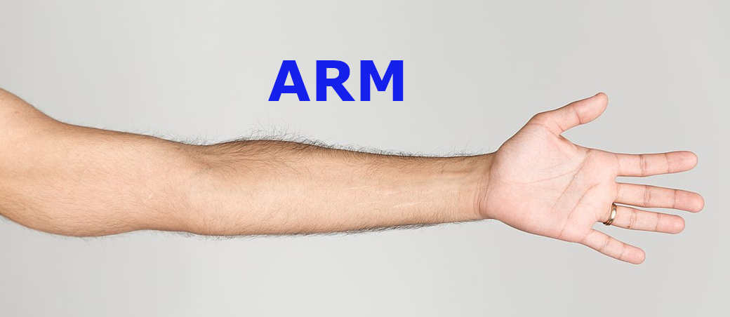 ARMに失敗した Windows RT、 ARM ベースから無事ラウンチした Apple M1_a0056607_20204411.jpg