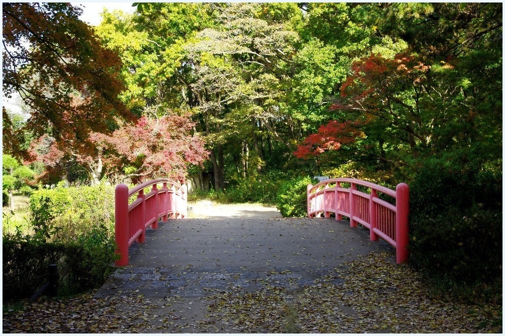 紅葉の季節に・・・_c0352813_16553444.jpg