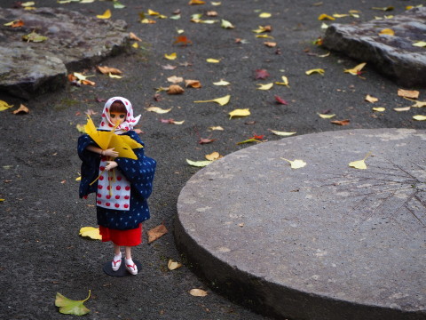 #みてみて平川*盛美園編~_b0147224_00120271.jpg