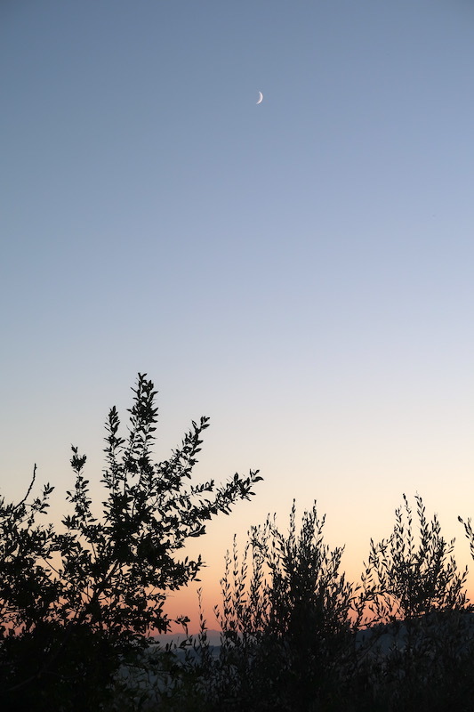 三日月と夕焼けとミケと四日月_f0234936_07112968.jpeg