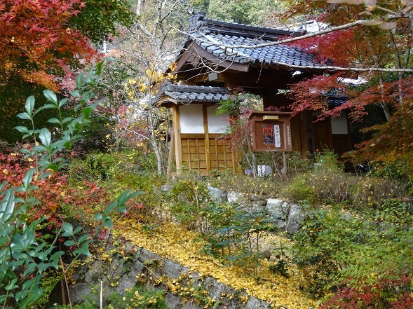 神蔵寺の紅葉_b0299042_08521772.jpg
