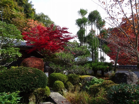 神蔵寺の紅葉_b0299042_08523259.jpg