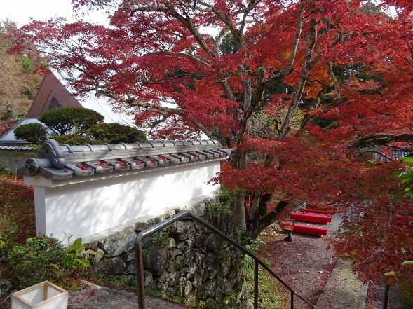 神蔵寺の紅葉_b0299042_08524577.jpg