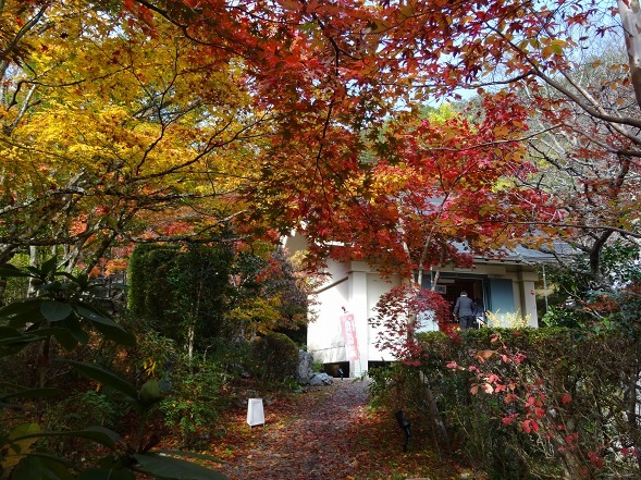 神蔵寺の紅葉_b0299042_08531039.jpg
